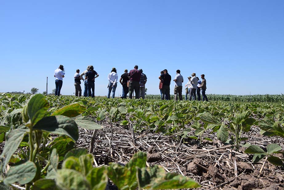 UPL Argentina abrió sus Centros de Lanzamientos y muestra biológicos